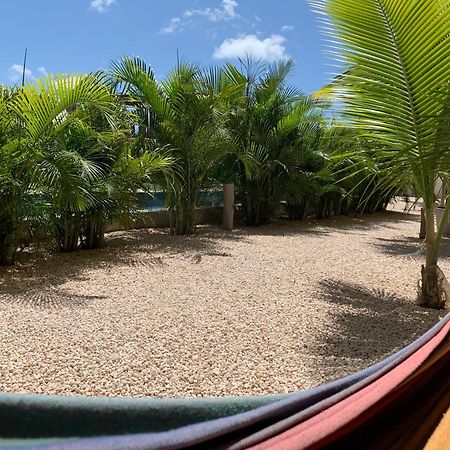 Isla Penthouse & Garden Apartments Bonaire Playa Eksteriør bilde