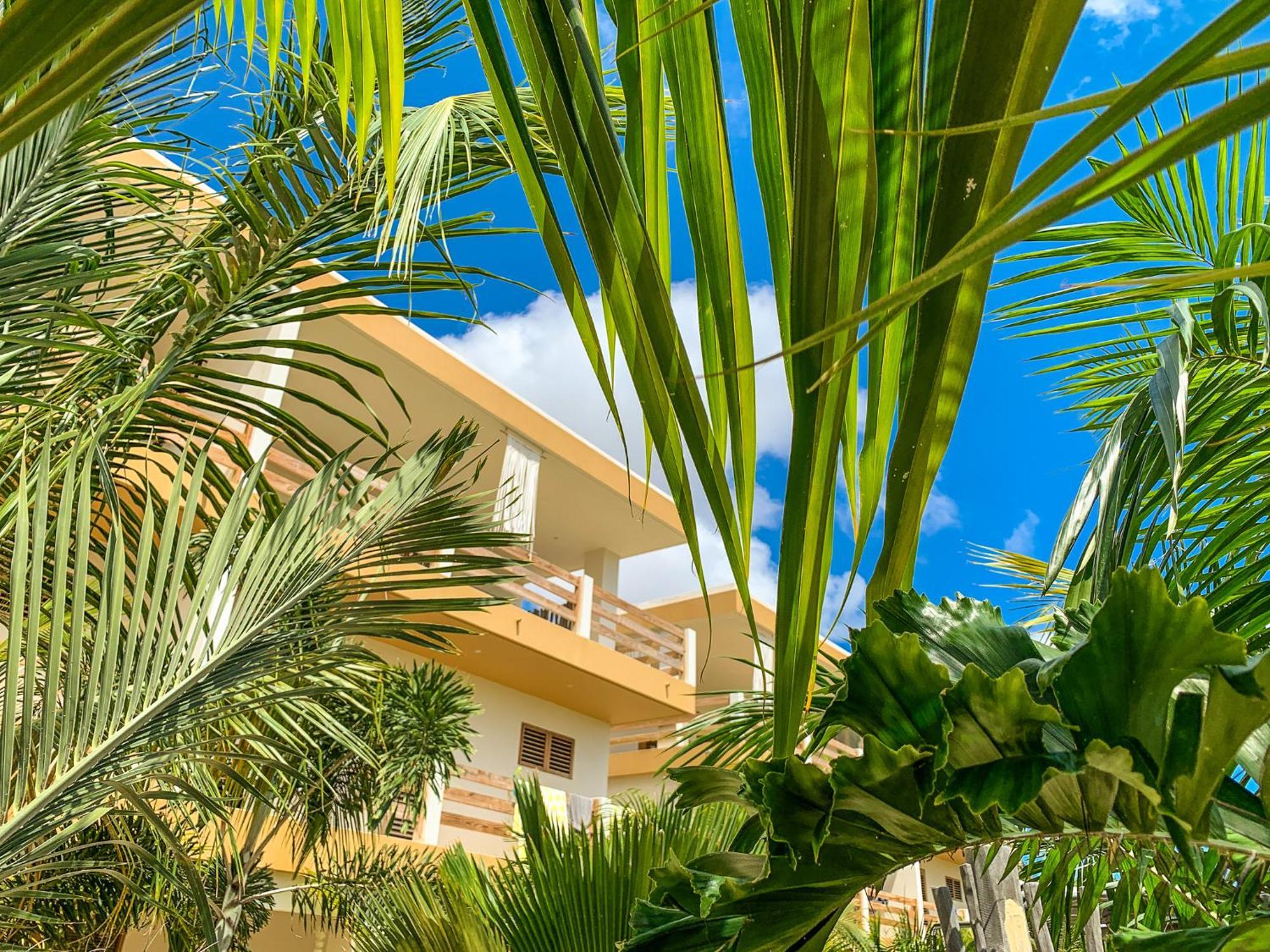 Isla Penthouse & Garden Apartments Bonaire Playa Eksteriør bilde