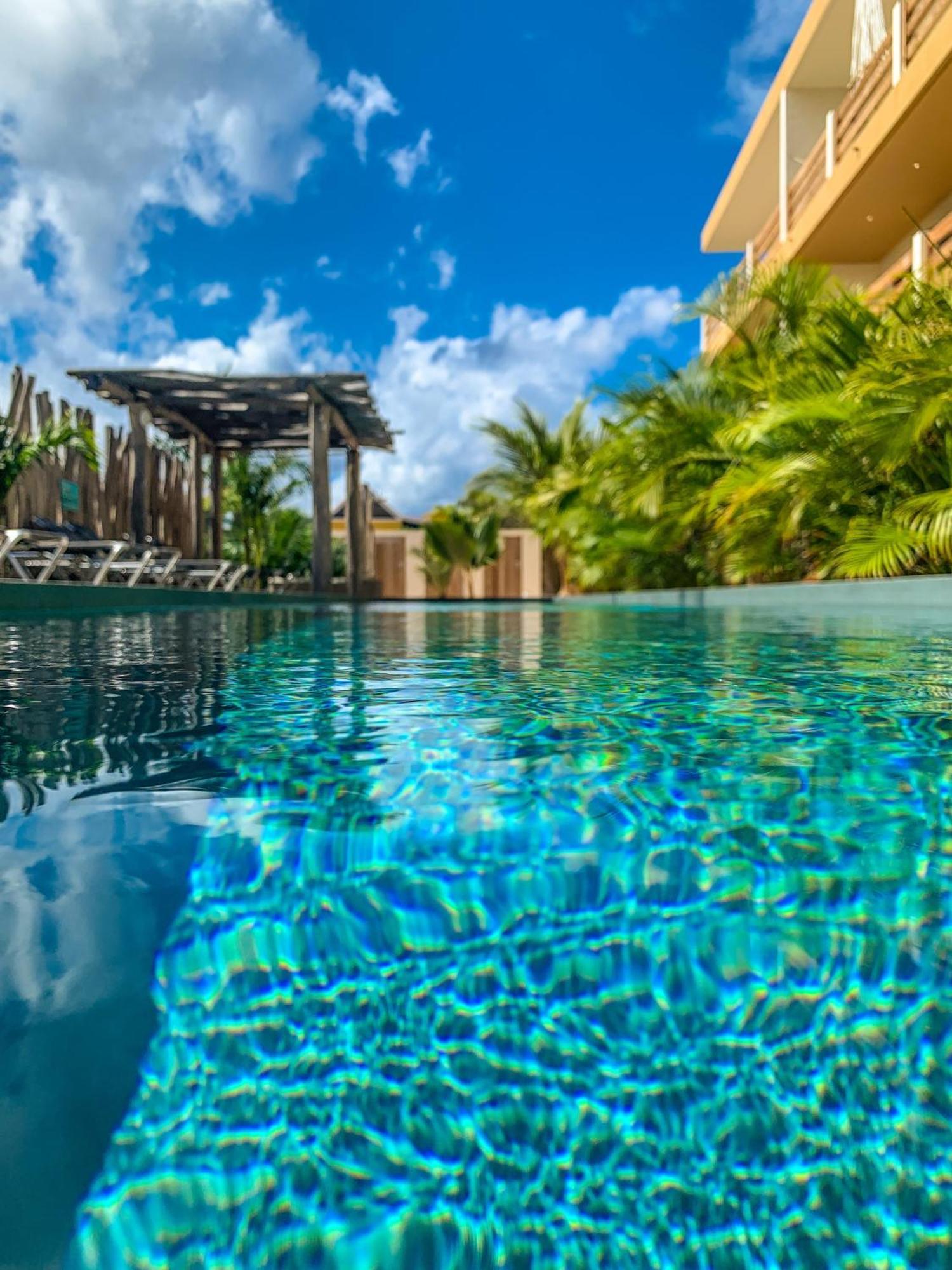 Isla Penthouse & Garden Apartments Bonaire Playa Eksteriør bilde
