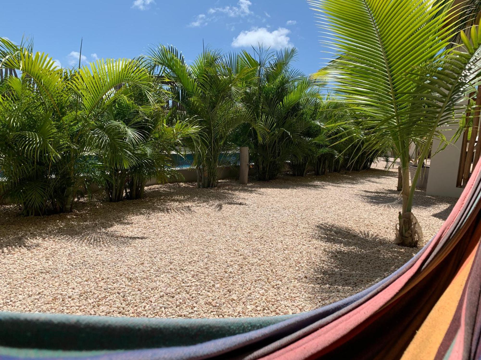 Isla Penthouse & Garden Apartments Bonaire Playa Eksteriør bilde